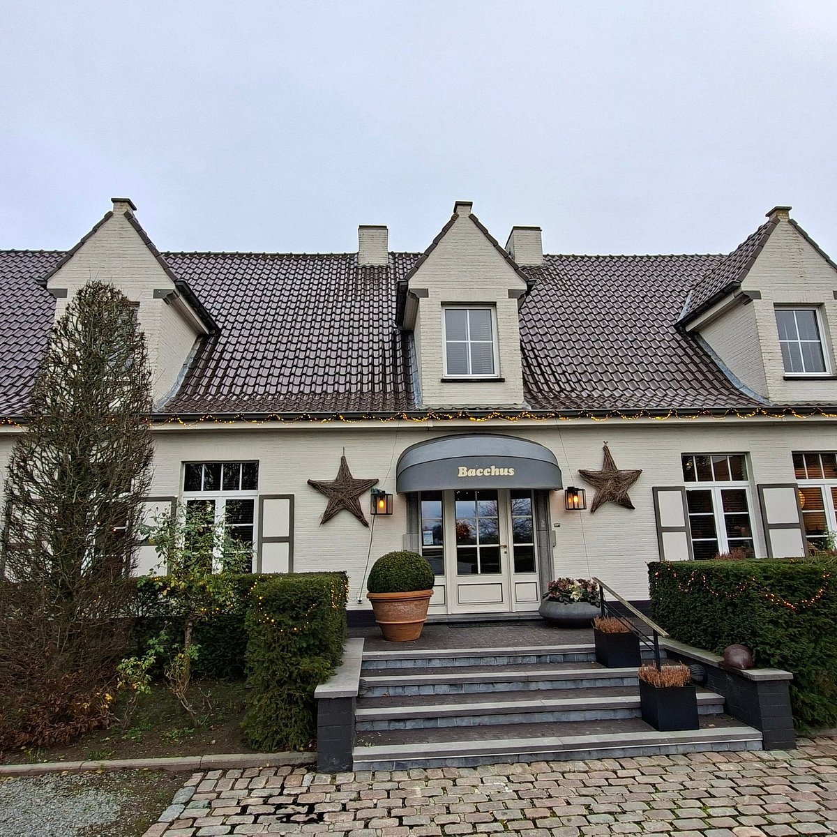 Bacchus, Aalter, Belgium