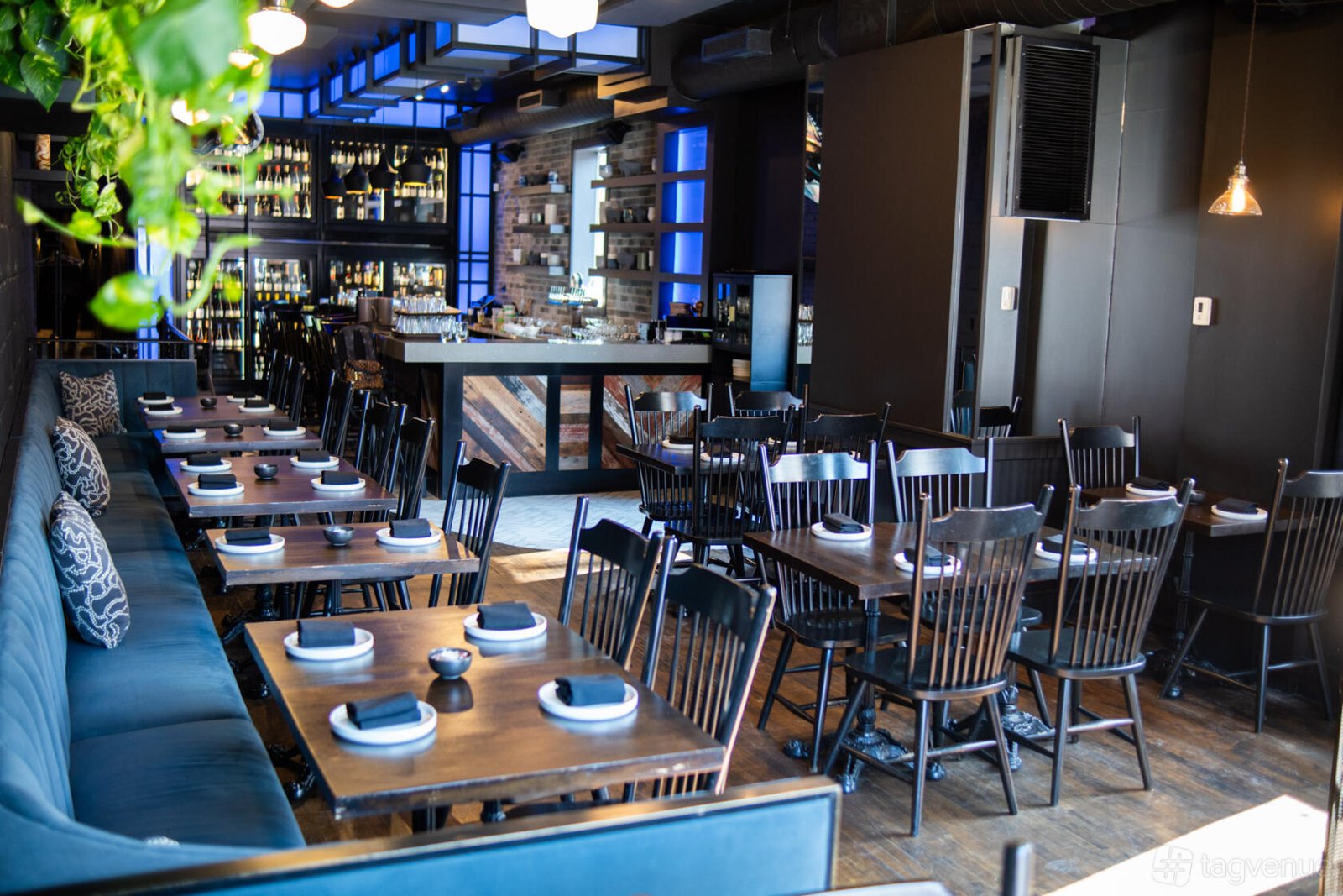 Alebrije, Restaurant in Toronto