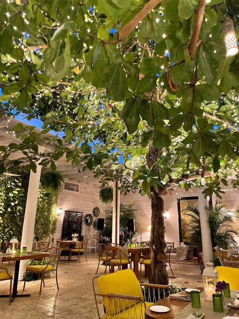 Almond Tree restaurant in Long Bay Hills