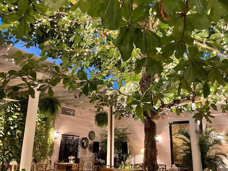 Almond Tree, Long Bay Hills, Turks & Caicos