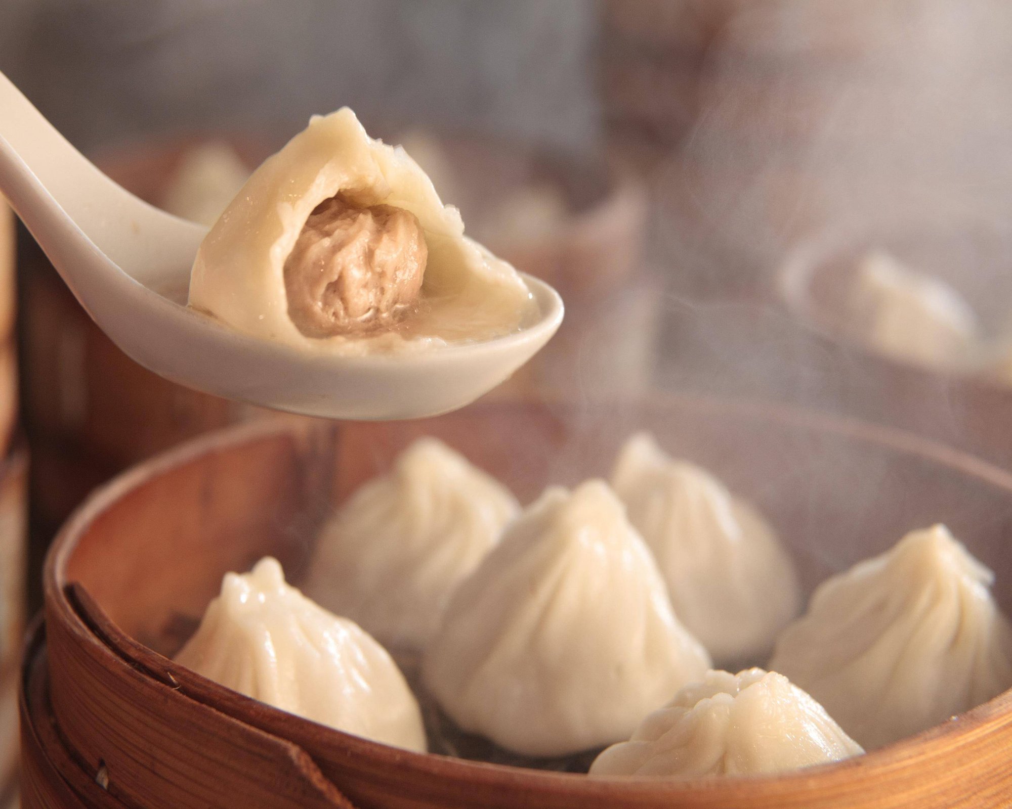 Nanxiang Steamed Bun Restaurant (南翔饅頭店), Restaurant in Tokyo