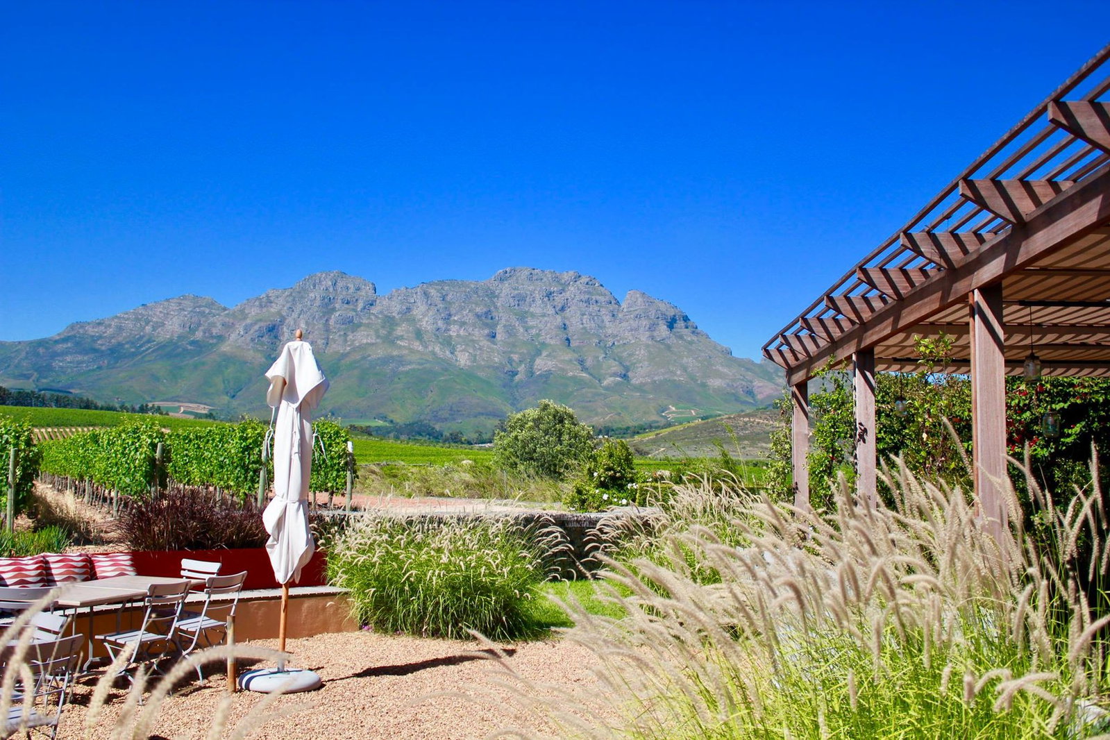 The Vine Bistro, Stellenbosch, South Africa