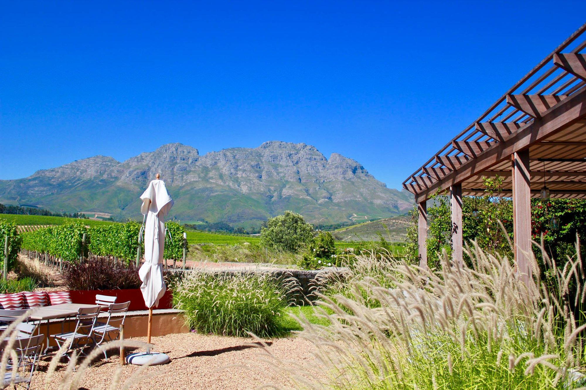 The Vine Bistro, Stellenbosch, South Africa