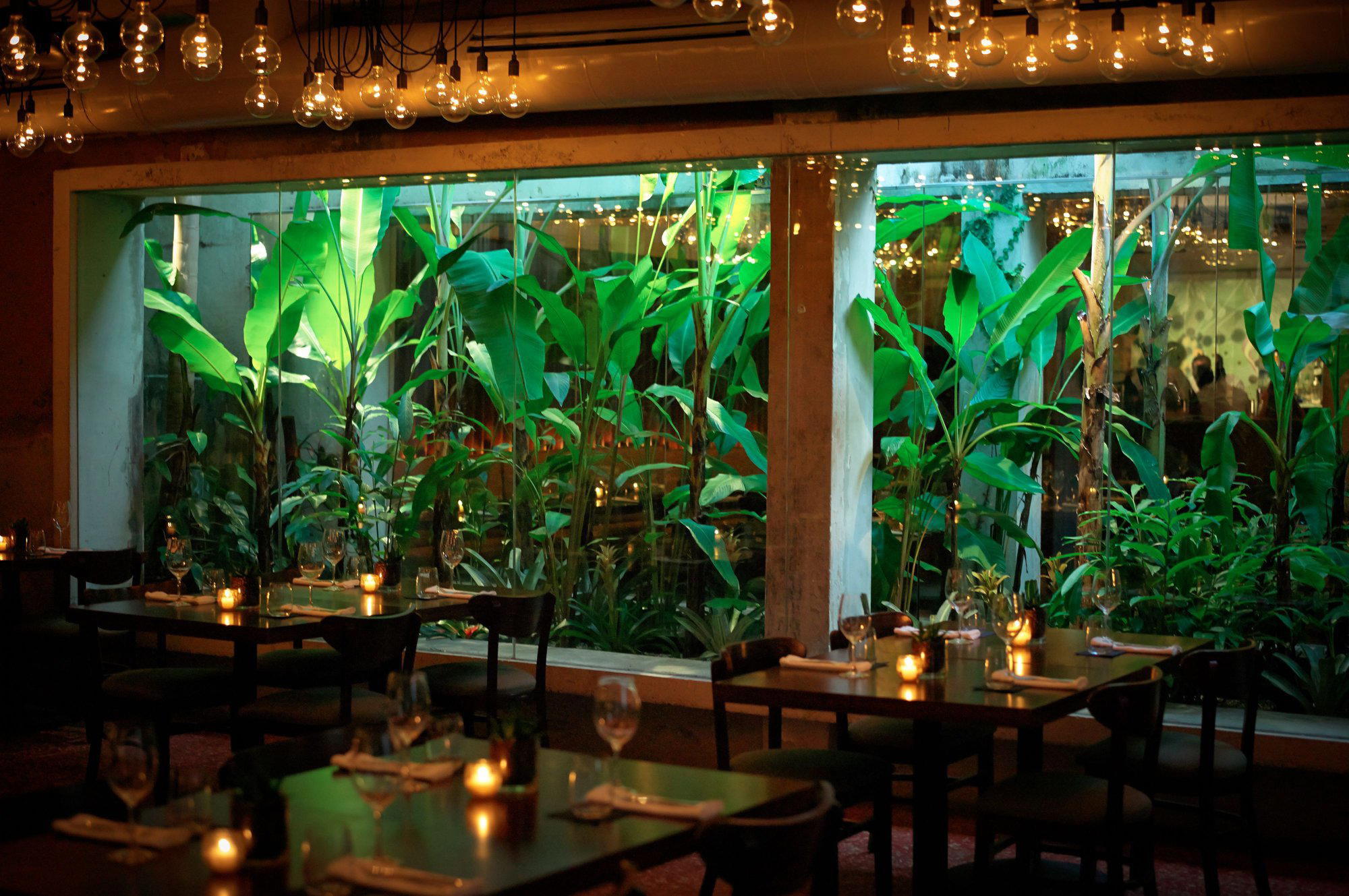 Santaella restaurant in San Juan, Puerto Rico