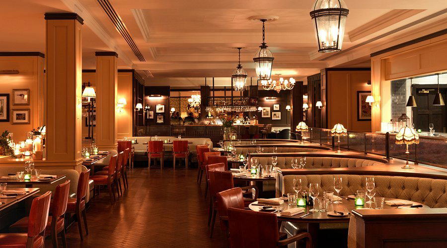 Wild Carrot restaurant in London