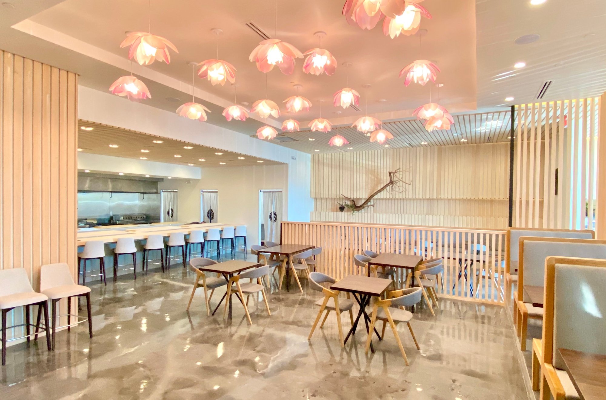 Ume, Restaurant in Houston