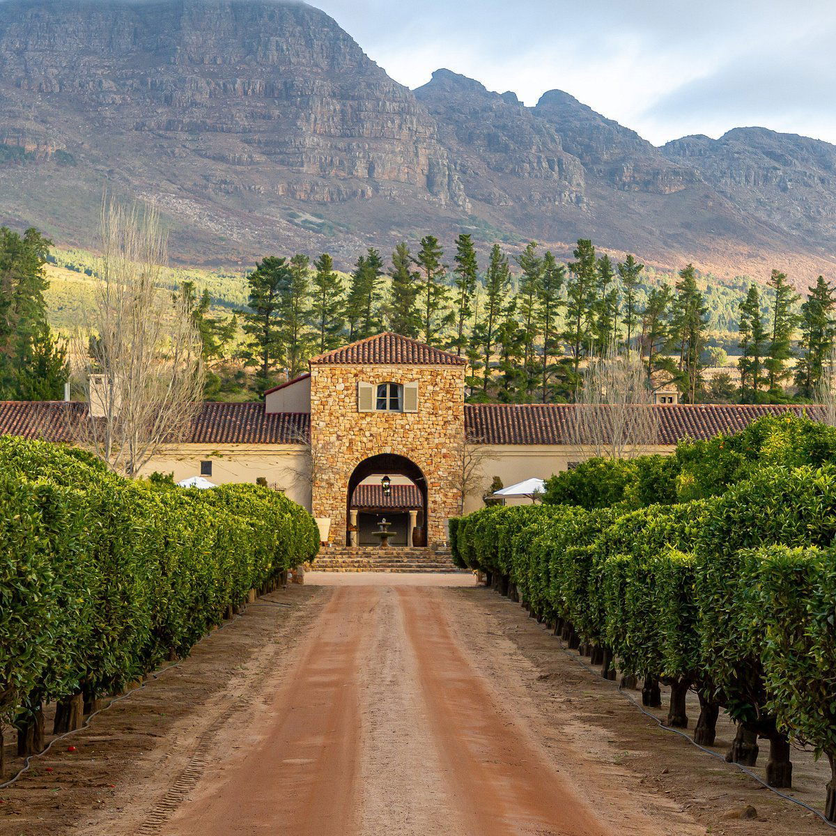 Waterford Estate, Restaurant in Stellenbosch