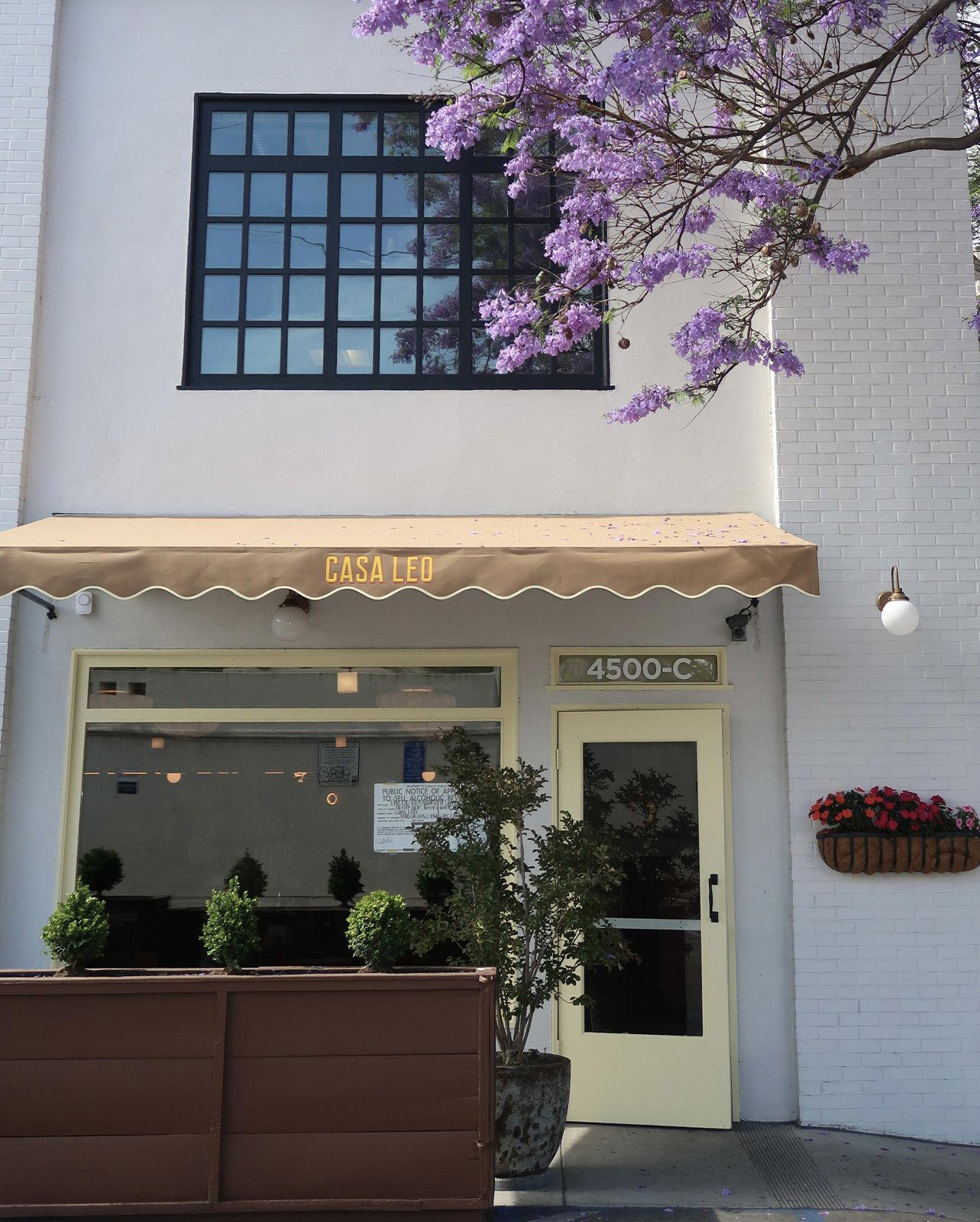 CASA LEO, Los Angeles, United States