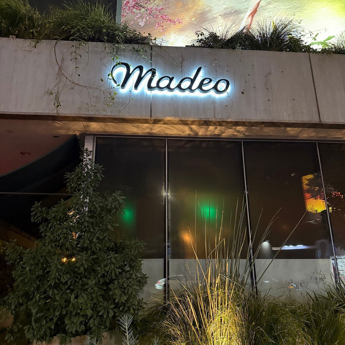 Madeo, Restaurant in Los Angeles