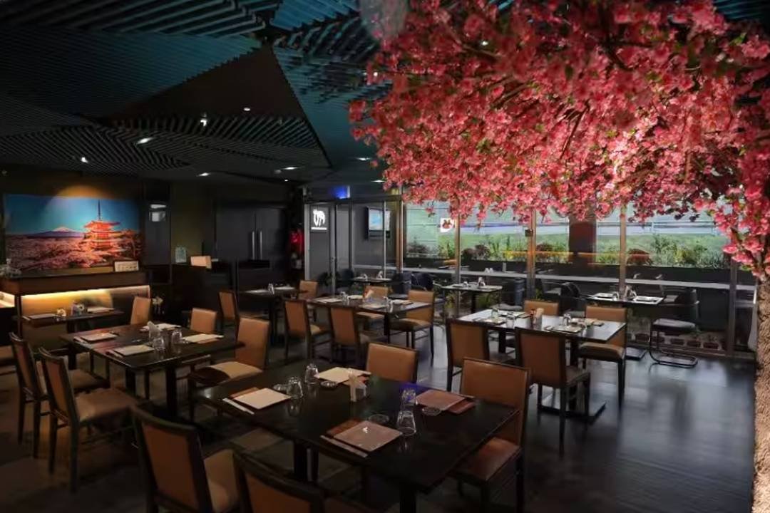 Tokki & Tora, Restaurant in Mumbai