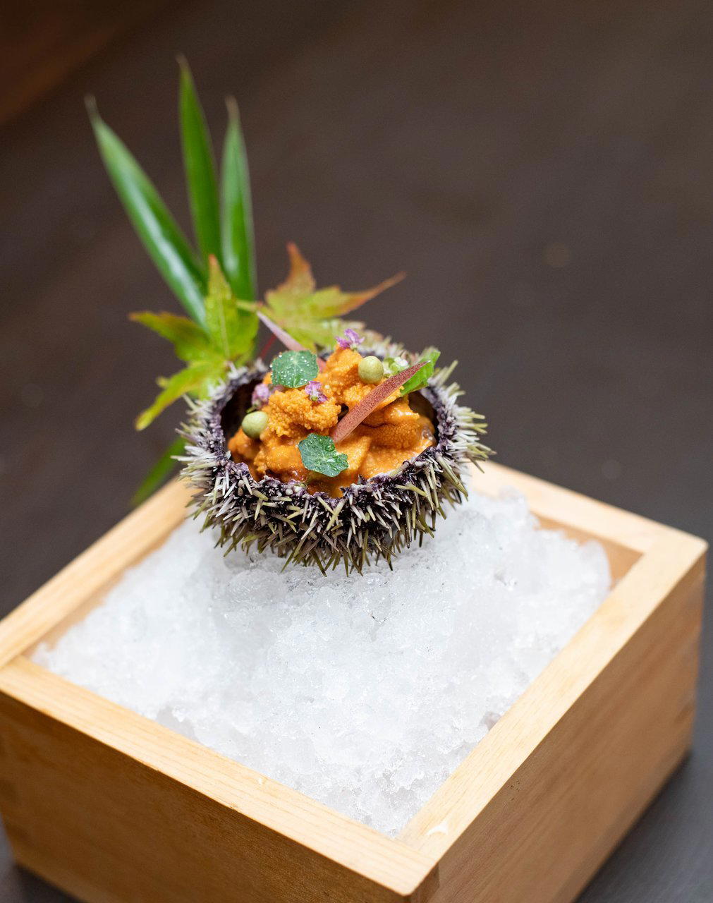 Urchin restaurant in London, United Kingdom