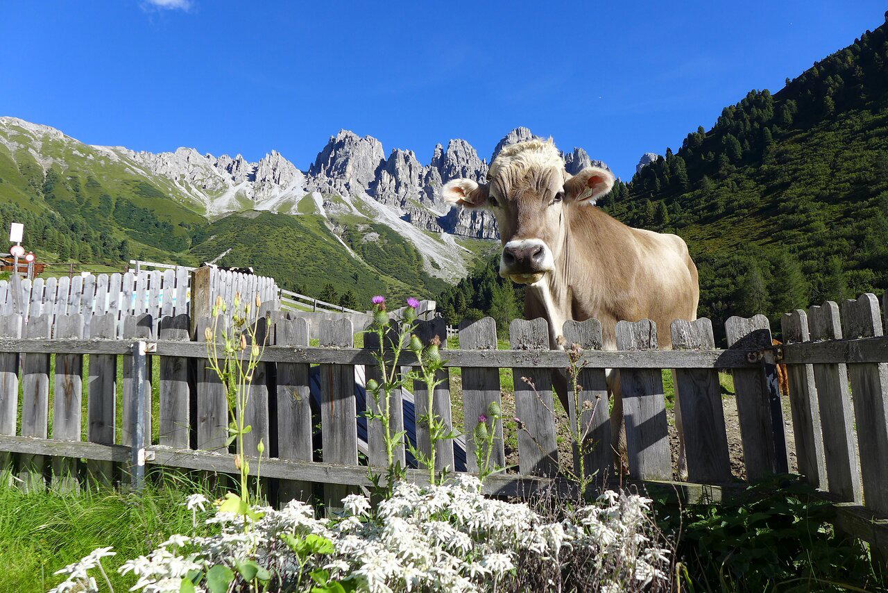 Kemater Alm restaurant in Grinzens, Austria