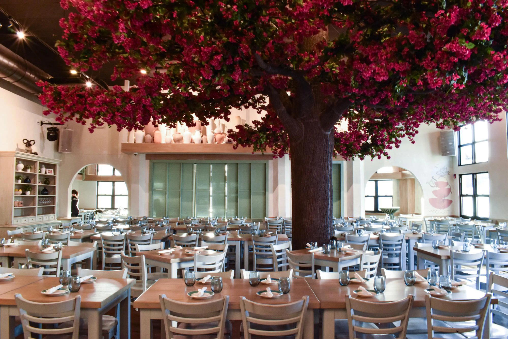 Taverna Opa Orlando restaurant in Orlando, United States