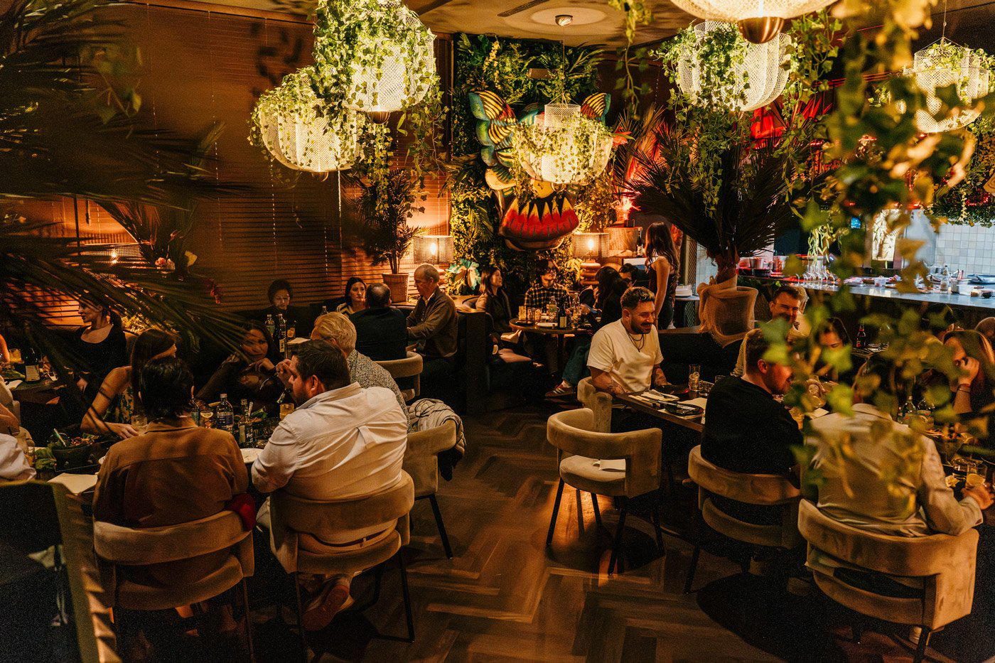 Casa Don Papa restaurant in Berlin, Germany