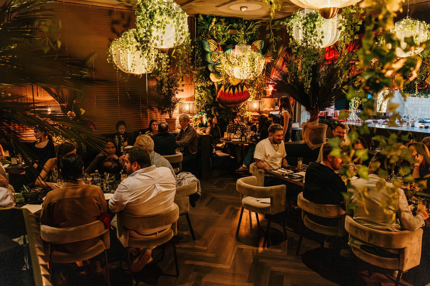 Casa Don Papa, Restaurant in Berlin