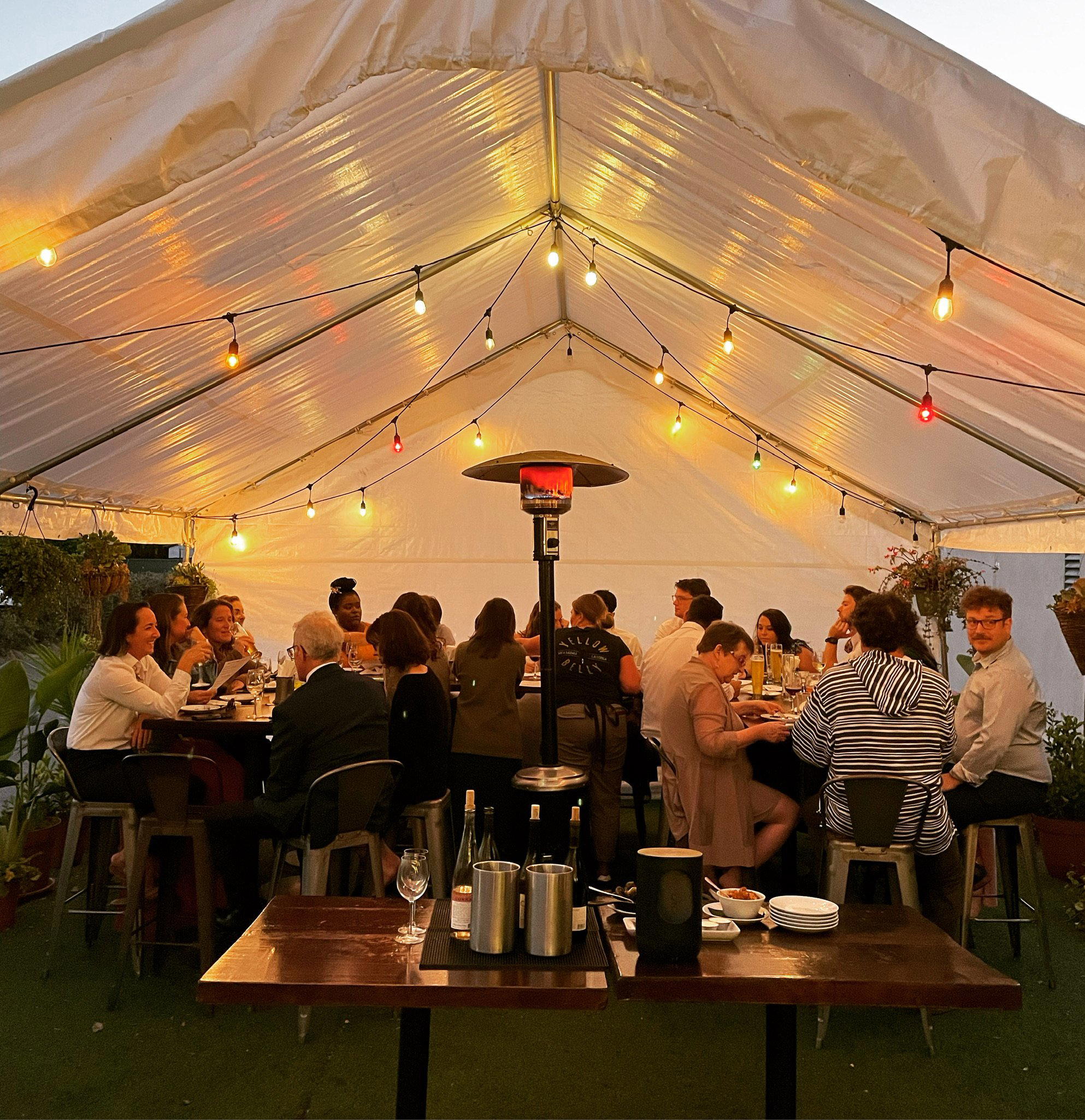 Yellow Belly Tap restaurant in Santa Barbara, United States