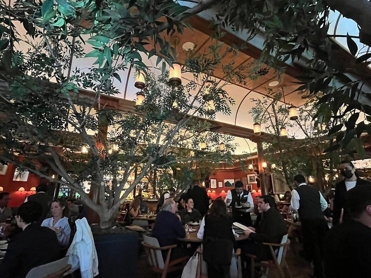 Sylvestre Artz, Mexico City, Mexico