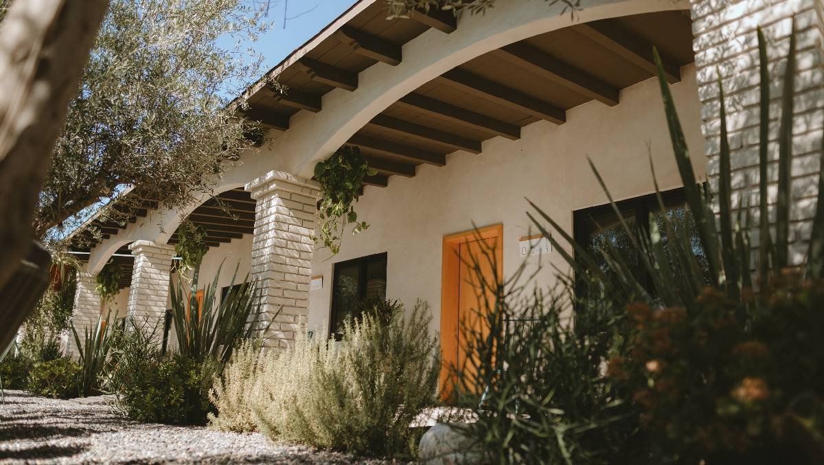 Olivea Farm to Table, Restaurant in Valle de Guadalupe