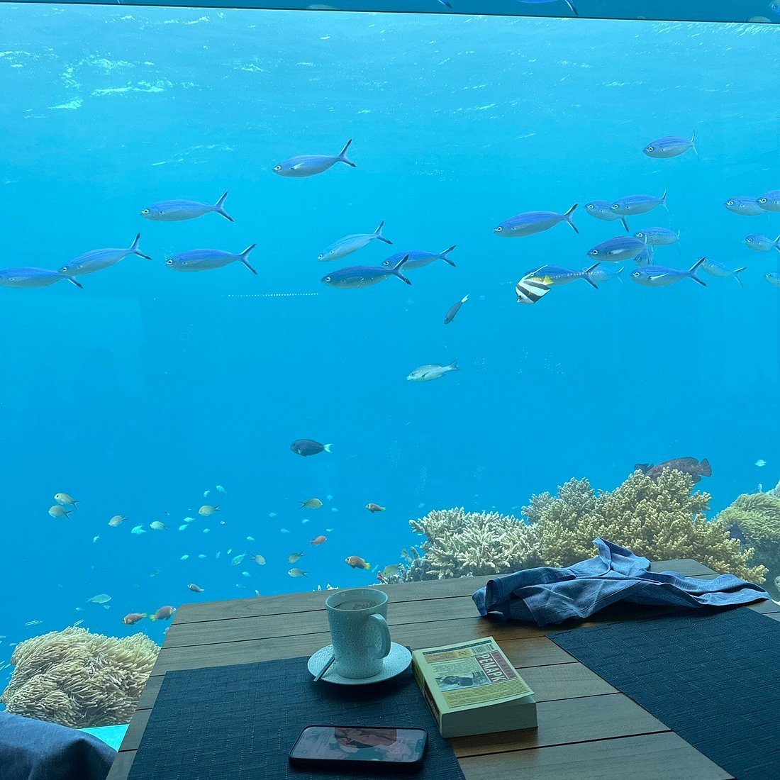 Sea Underwater Restaurant & Wine Cellar restaurant in Kihavah Huravalhi, Maldives