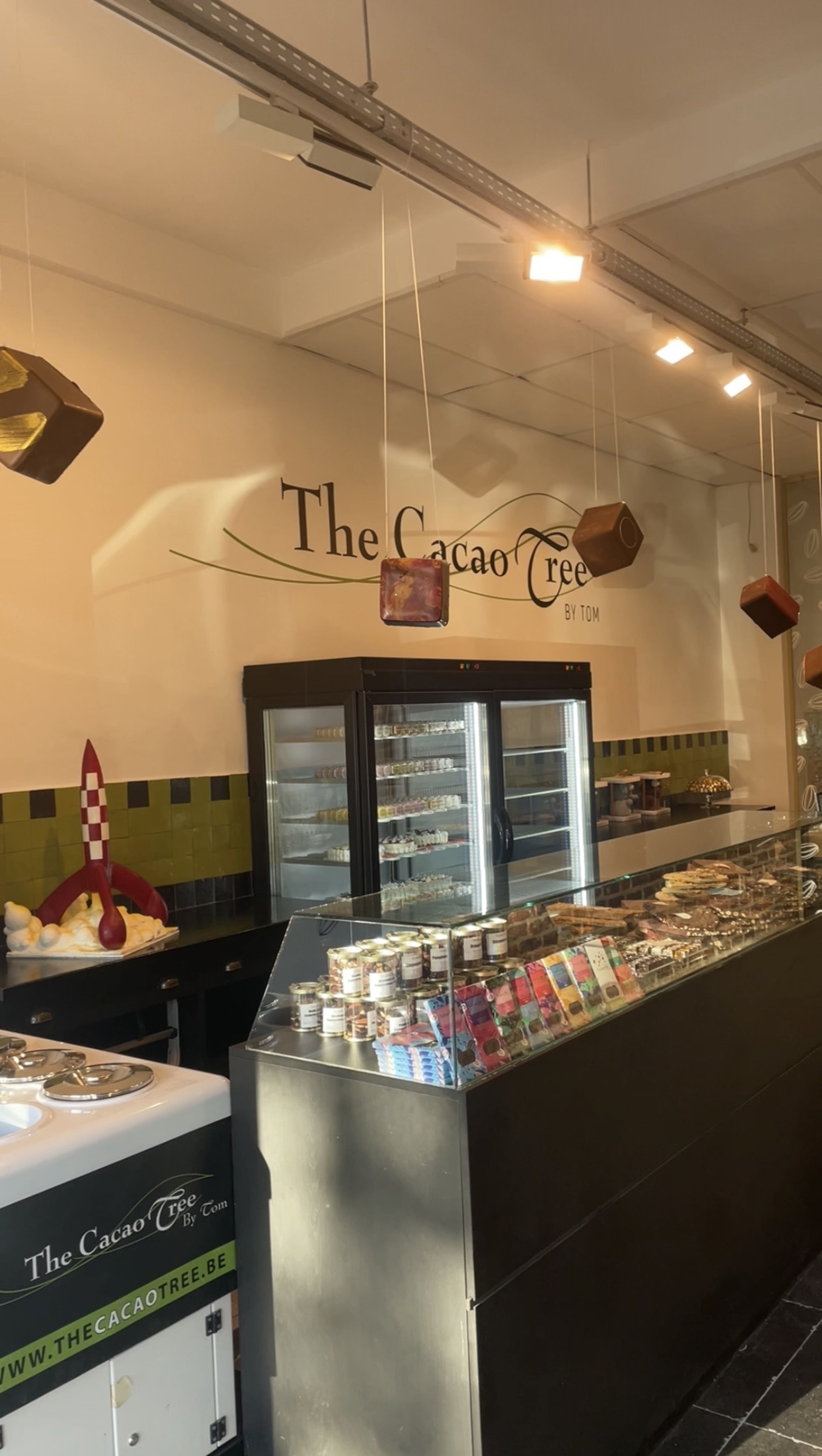 The Cacao Tree