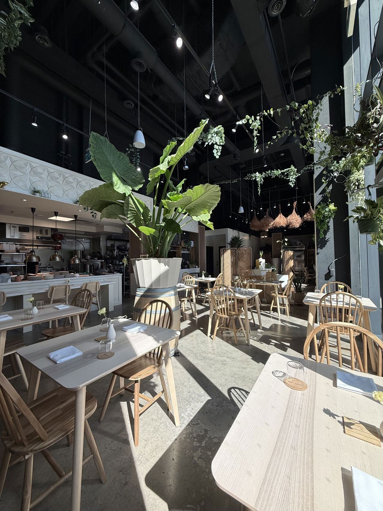 ALMA+GIL, Restaurant in Toronto