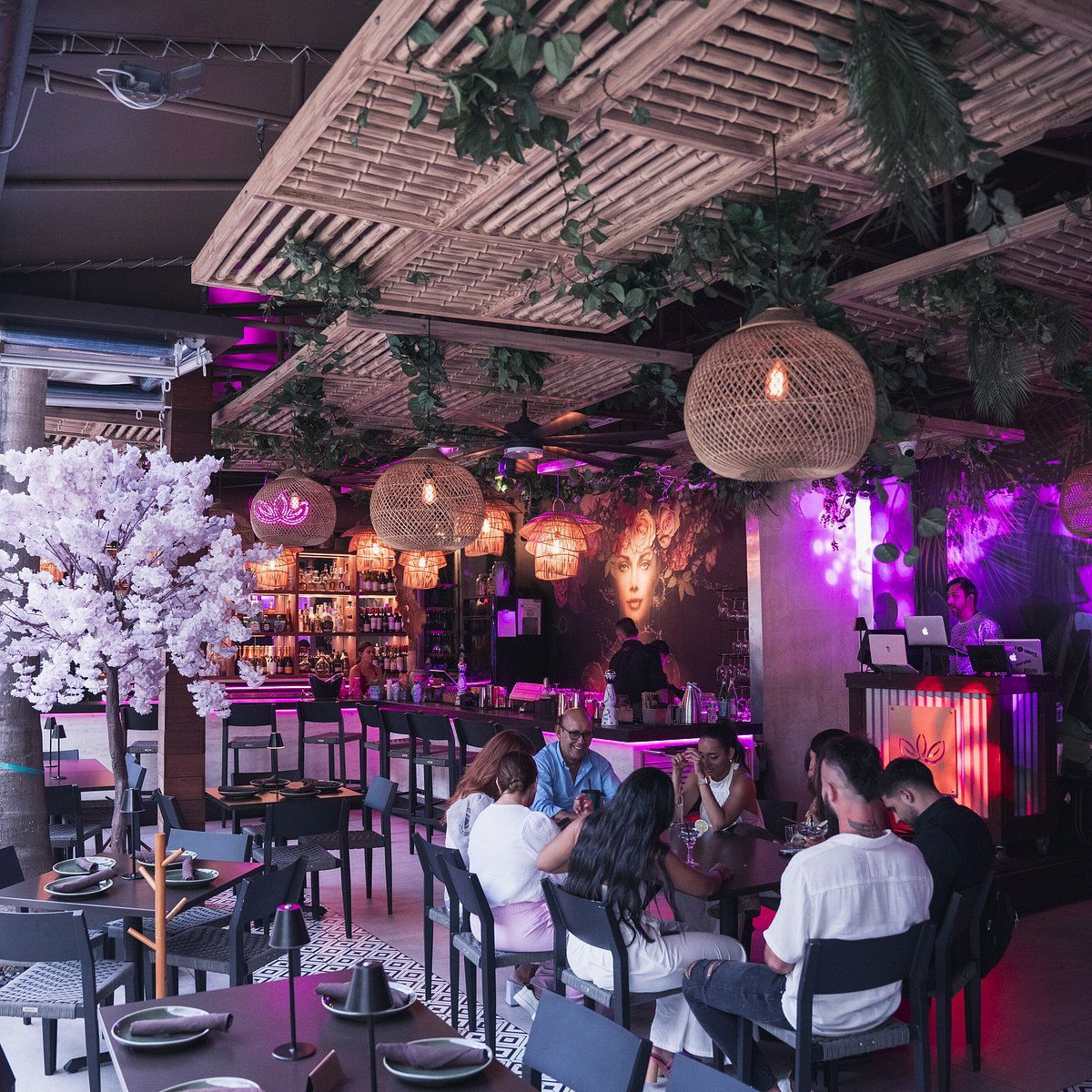 ALMA ROSA, Restaurant in Miami