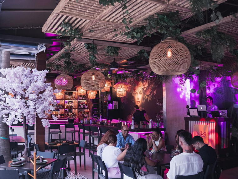 ALMA ROSA, Miami, United States