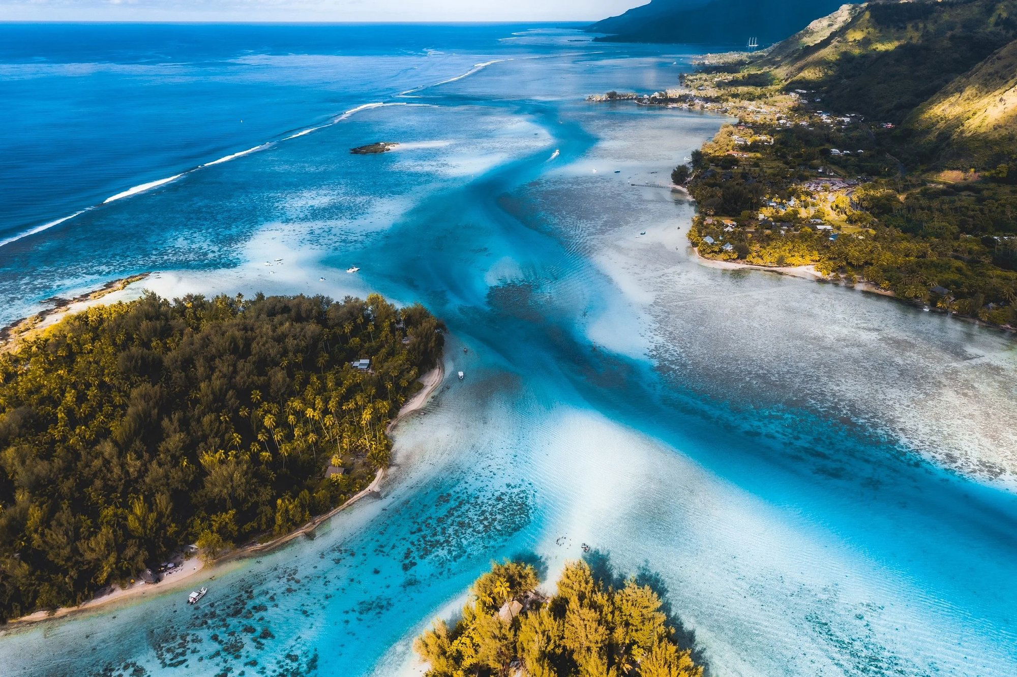 Coco beach Moorea, Restaurant in Moorea Maiao