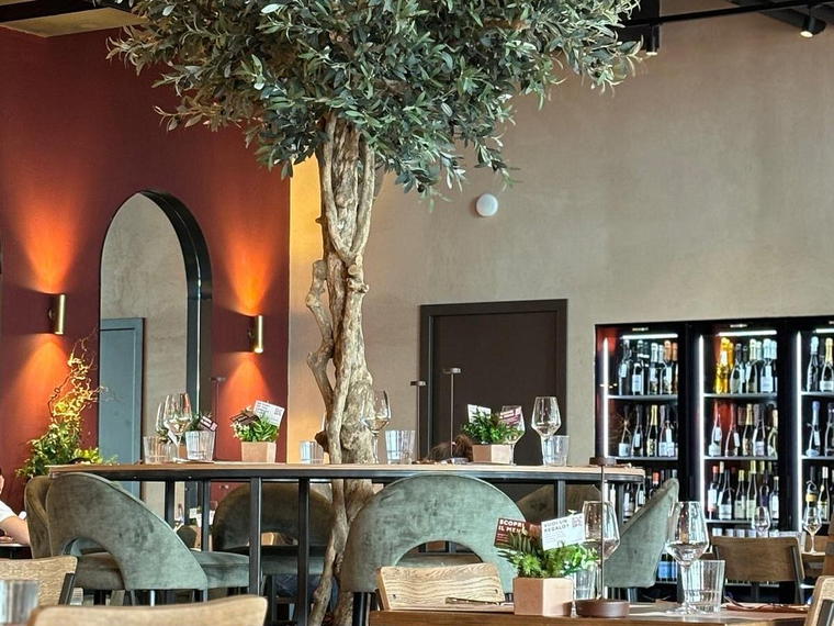 Signorvino Torino, Turin, Italy