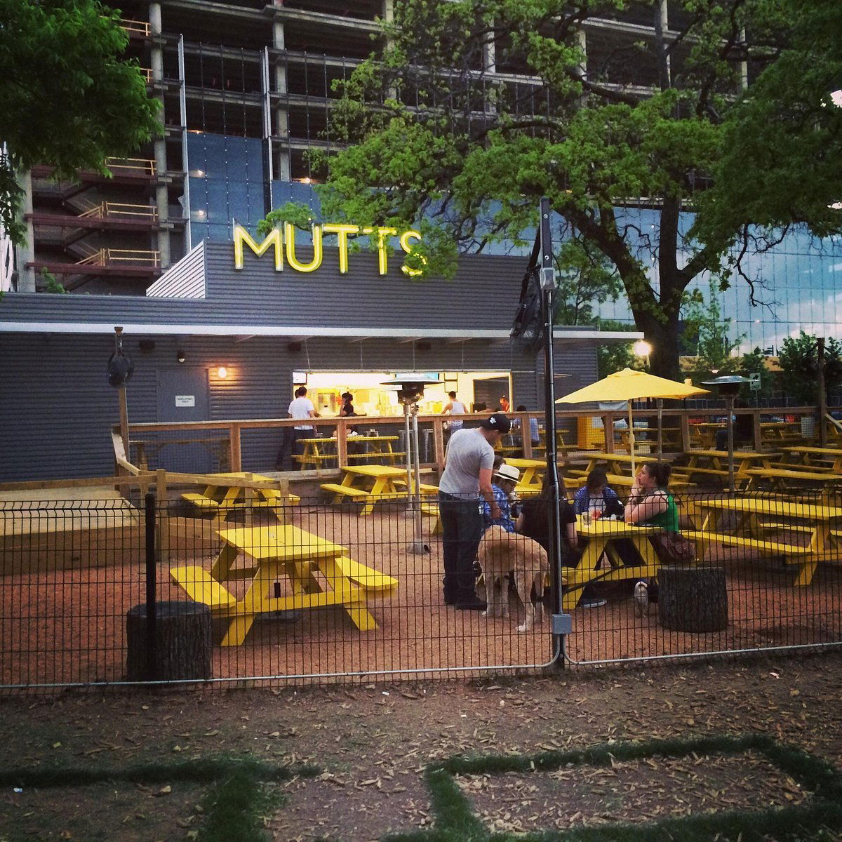 MUTTS Canine Cantina® - Dallas, Restaurant in Dallas
