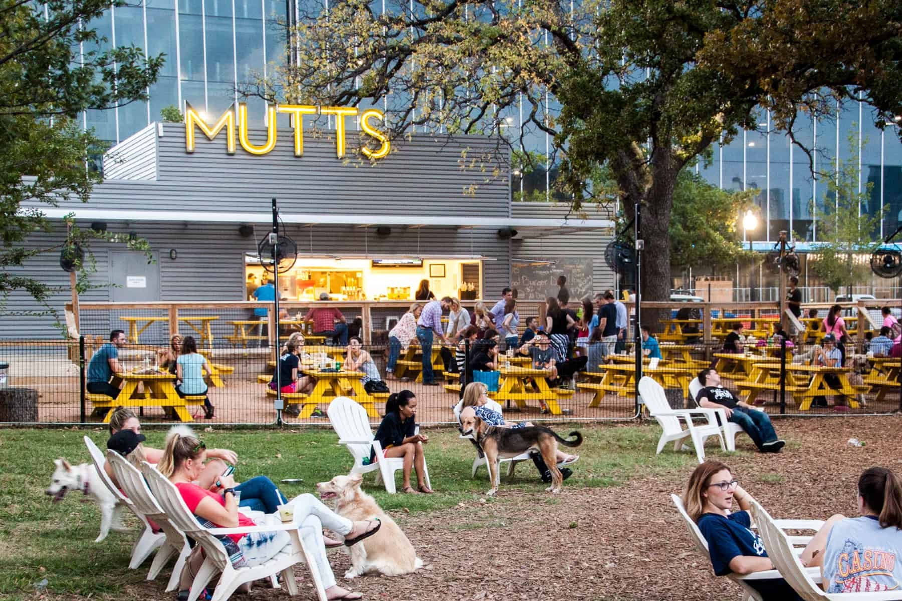 MUTTS Canine Cantina® - Dallas restaurant in Dallas, United States