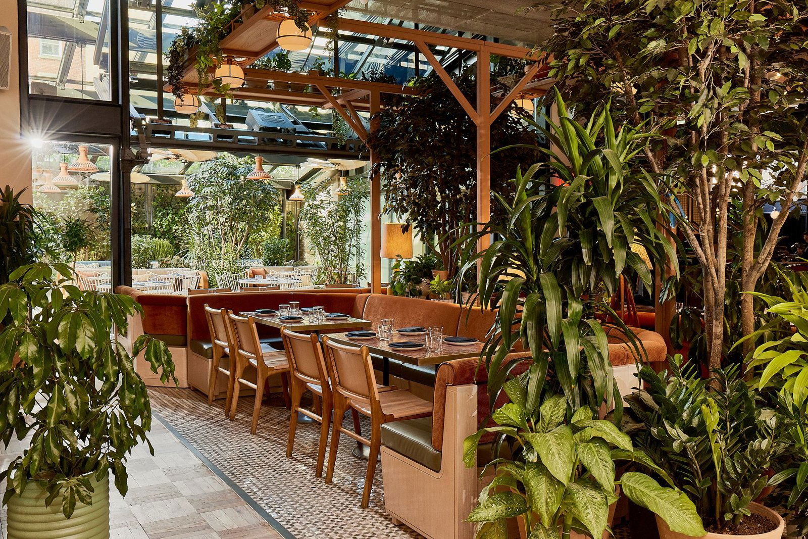 K'Far, Restaurant in New York City