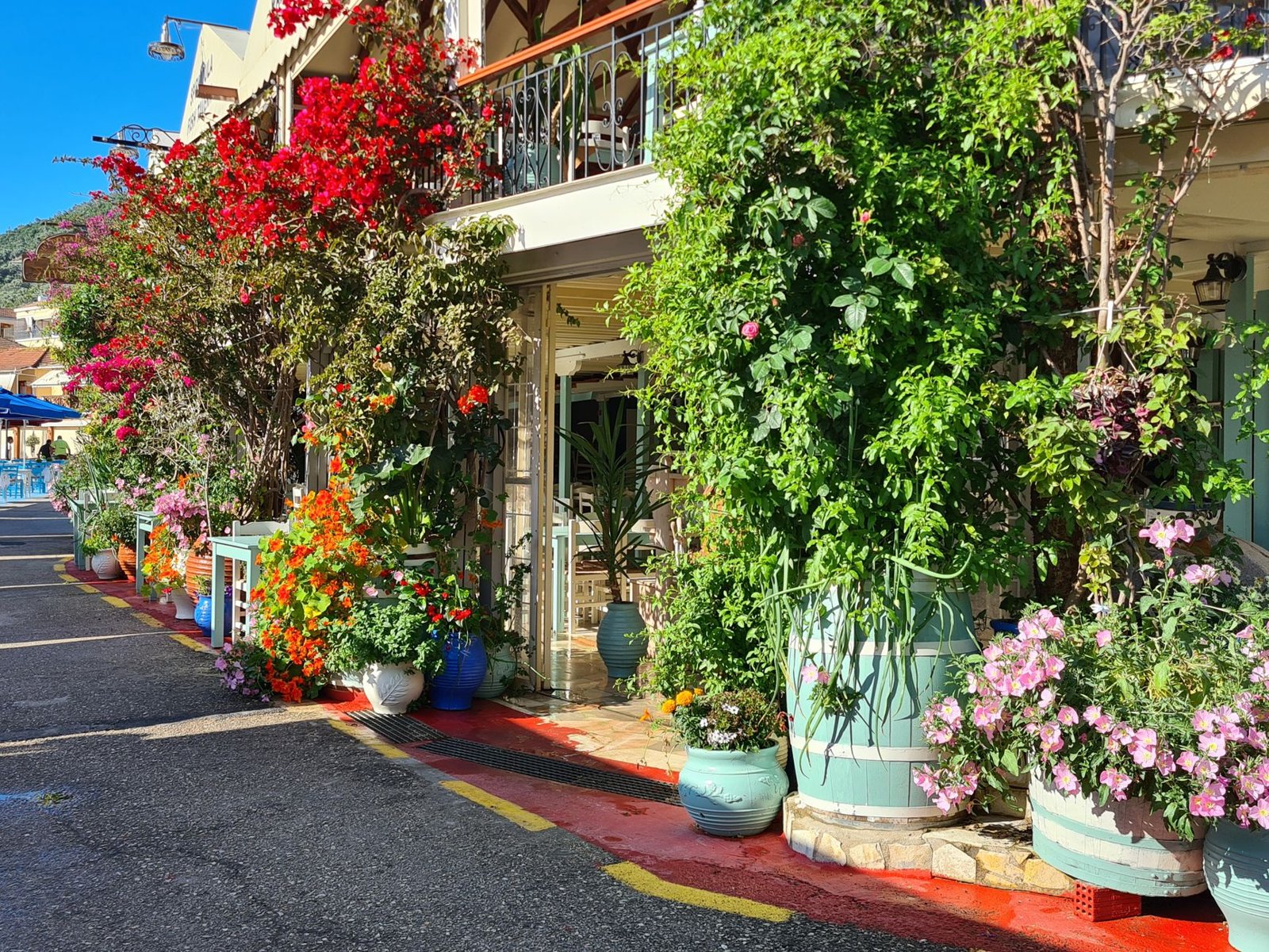 Traditional Cypriot Taverna