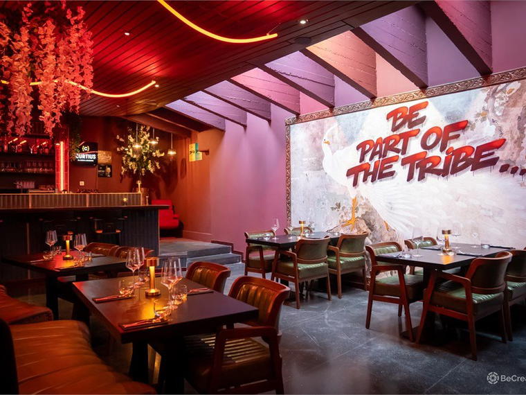 TRIBE, Liège, Belgium