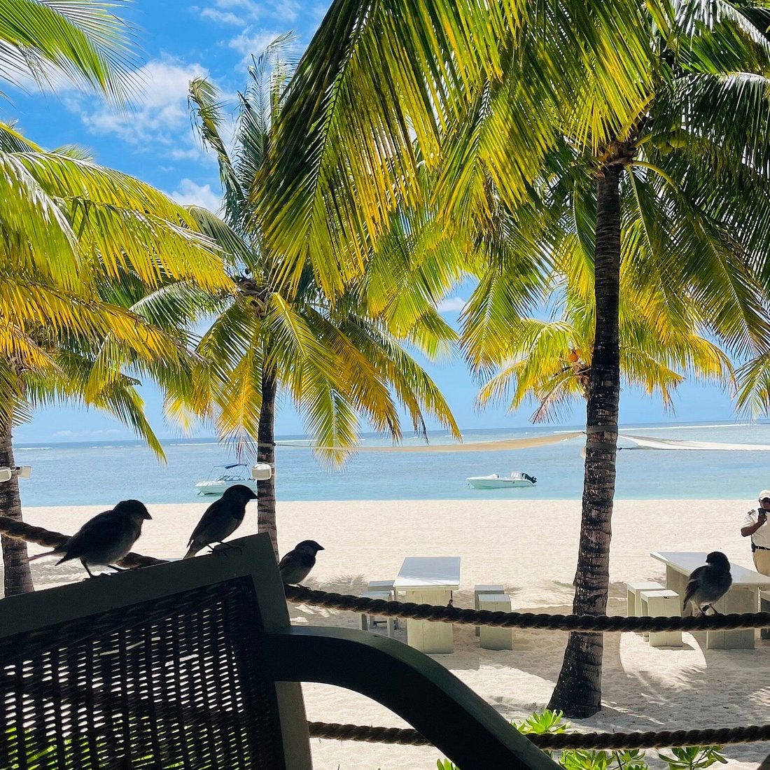 The Boathouse Bar & Grill, Restaurant in Le Morne