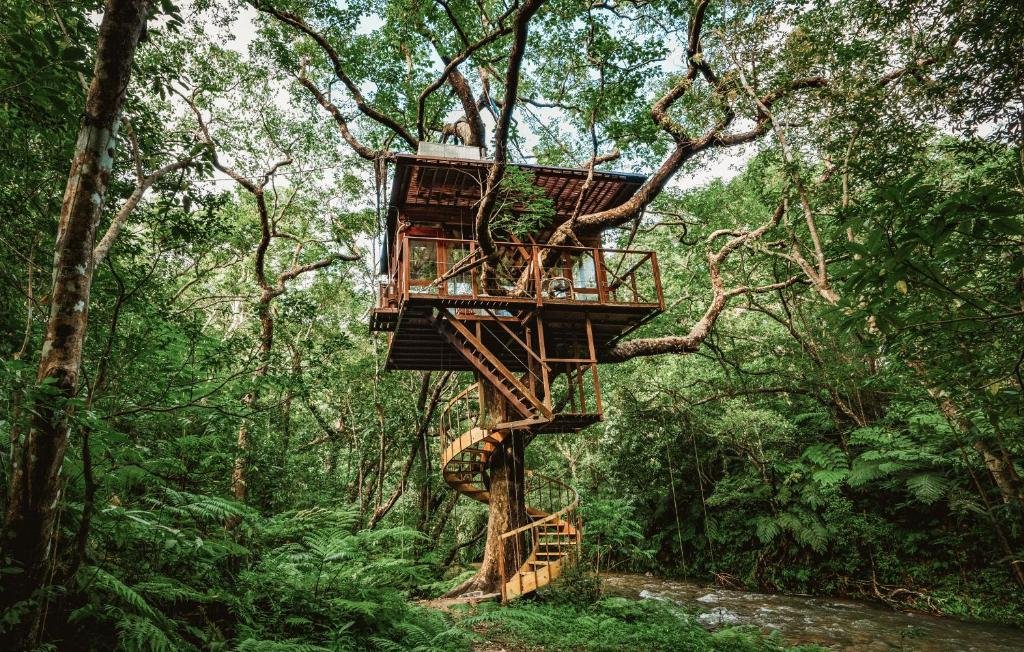 TREEFUL TREEHOUSE, Restaurant in Nago