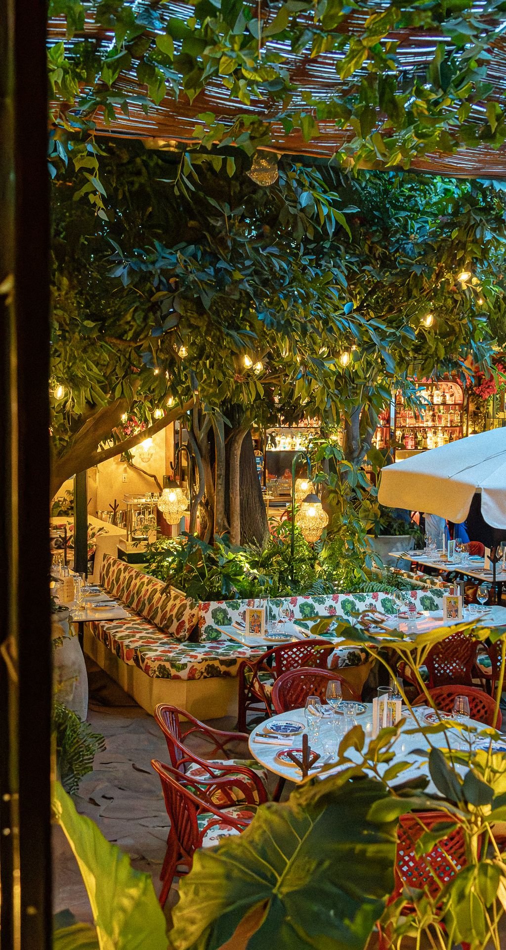 La Bellezza, Restaurant in Mexico City