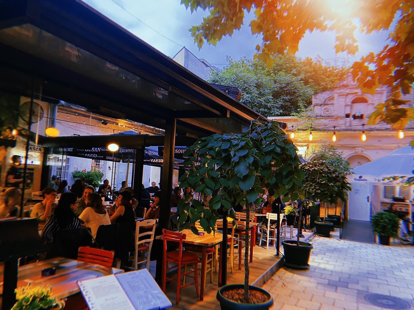 Pivnica Gusan, Restaurant in Novi Sad