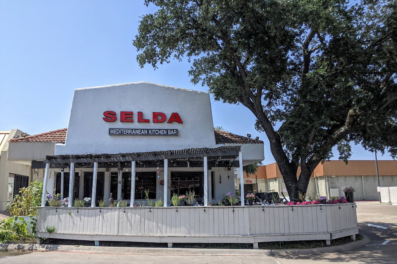 Selda Dallas, Dallas, United States