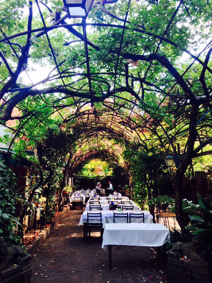 Antica Locanda Montin, Restaurant in Venice