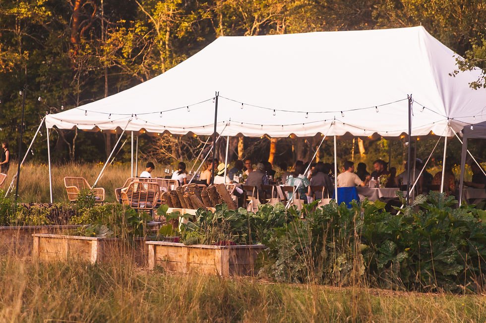 Wren of the Woods, Restaurant in Armonk
