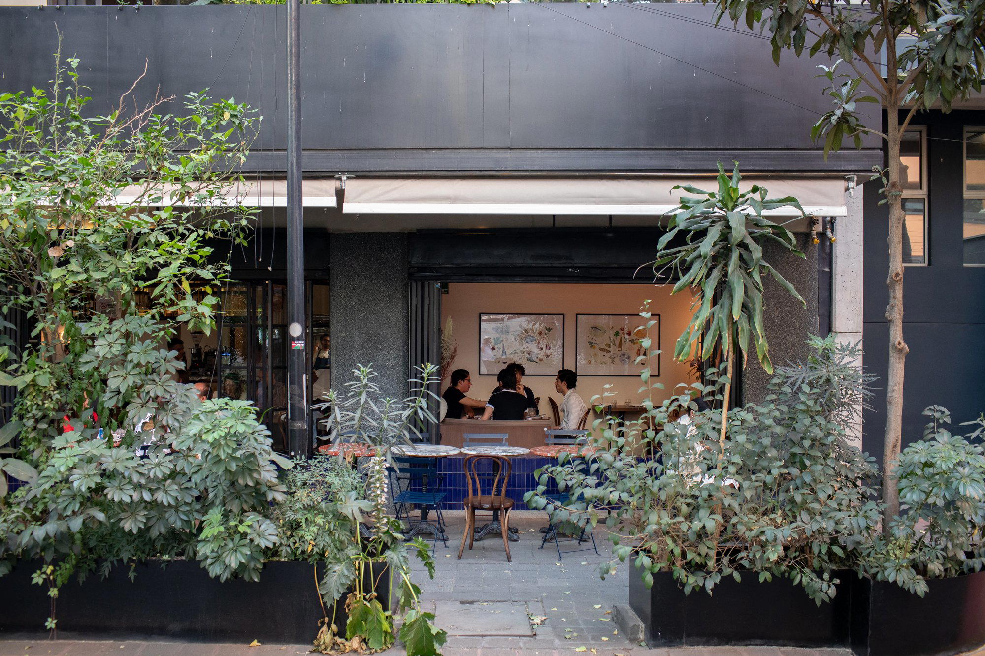 Darosa restaurant in Mexico City, Mexico
