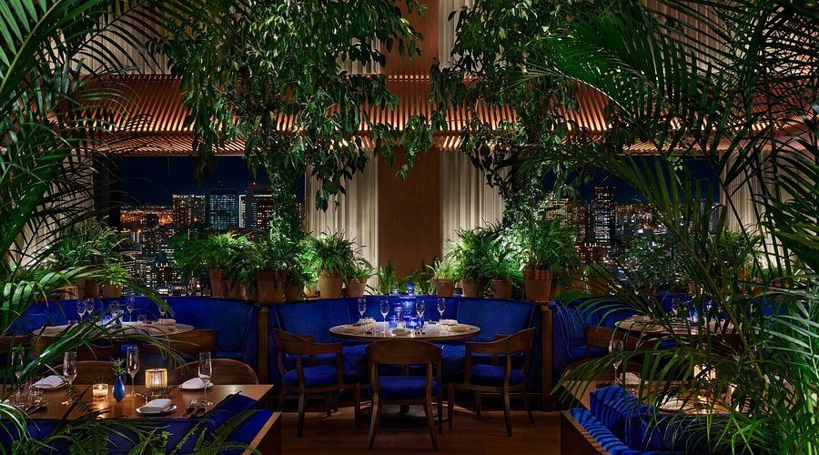 The Blue Room, Tokyo, Japan