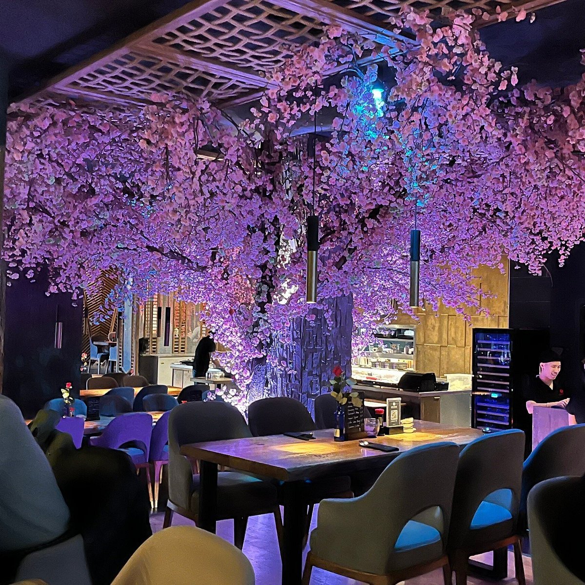 Kokono Restaurant Würzburg, Würzburg, Germany