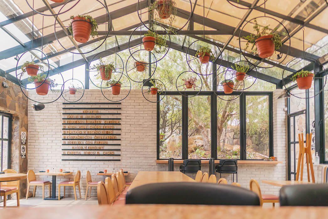 LUNARIO VALLE DE GUADALUPE restaurant in Francisco Zarco