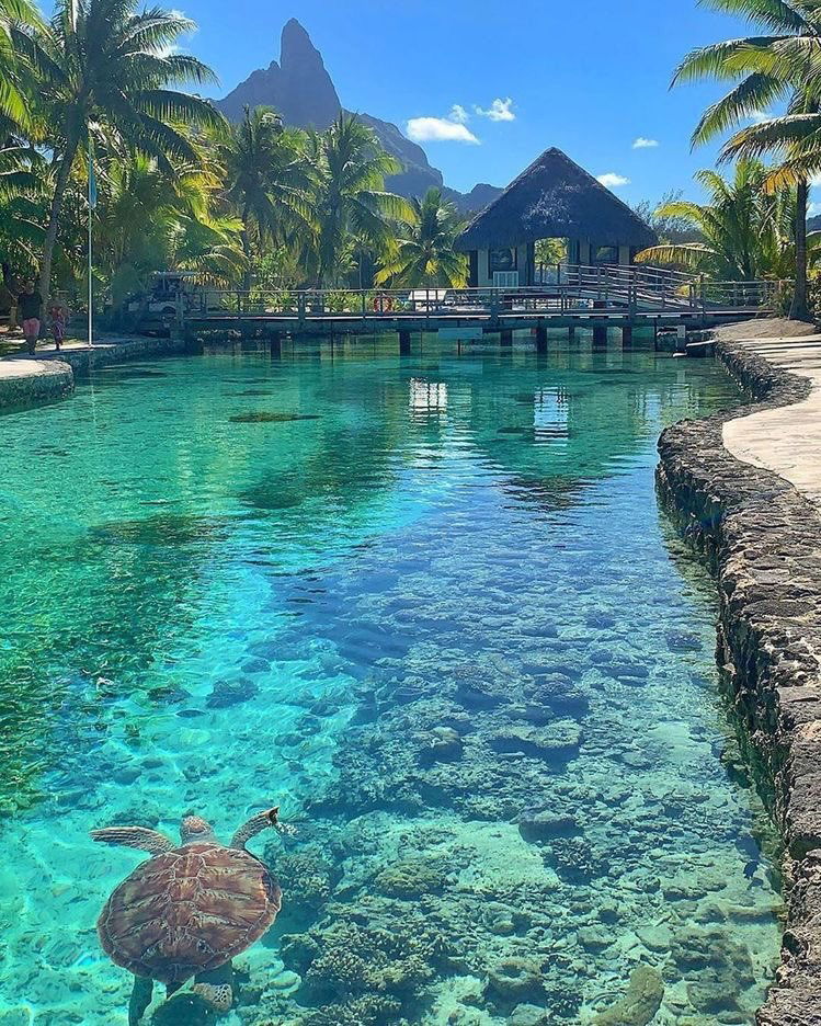 K, Restaurant in Moorea