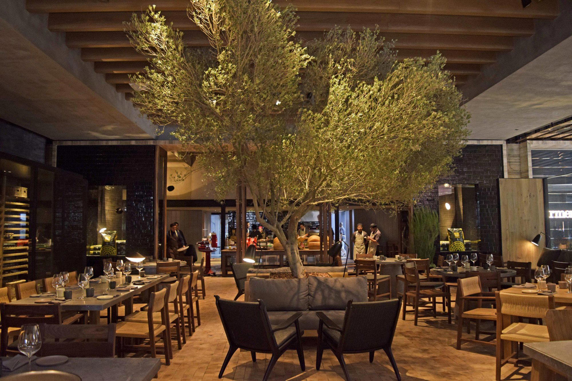 Fornería del Becco restaurant in Mexico City, Mexico