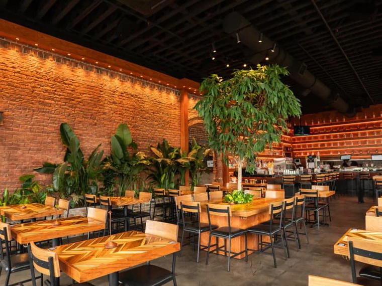 Rreal Tacos - Decatur, Decatur, United States