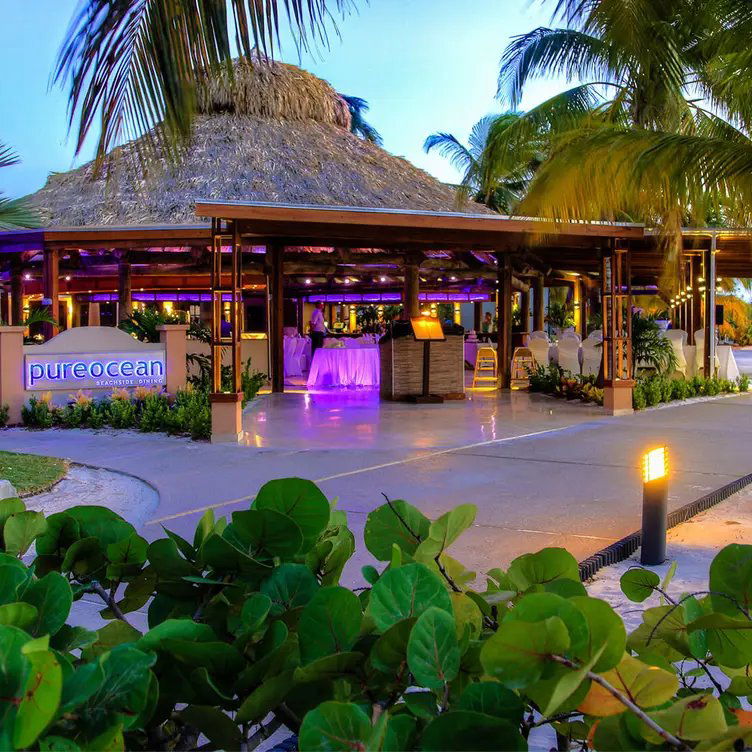 Pureocean Restaurant, Restaurant in Noord
