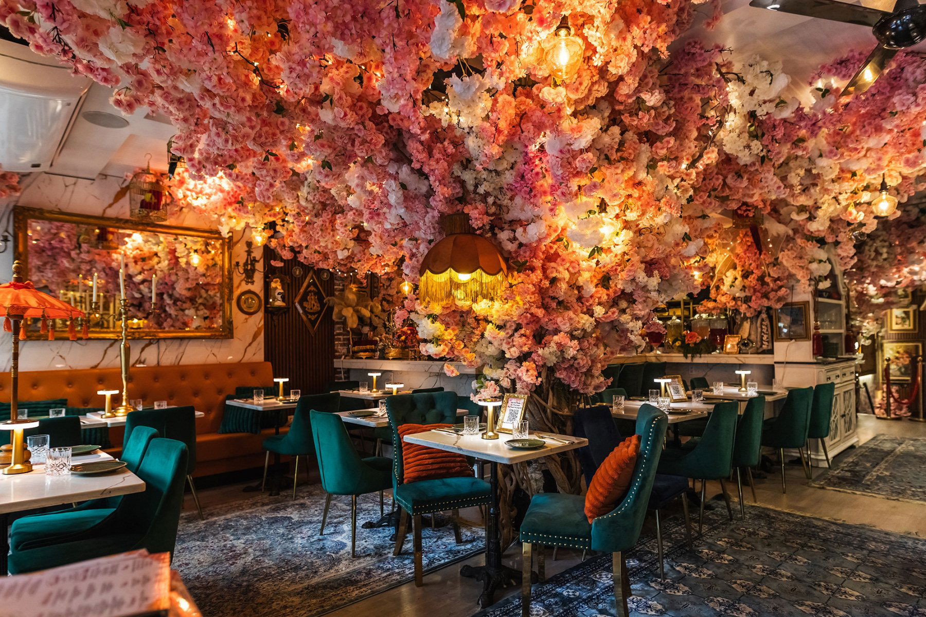 Sveta, Restaurant in New York City